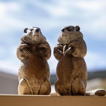 フォート・ブラッグ Woodchuck Flatヴィラ エクステリア 写真